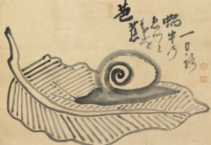 HakuinSnail