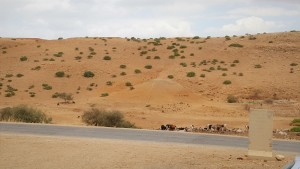 קו מים מקורות להתנחלות משכיות